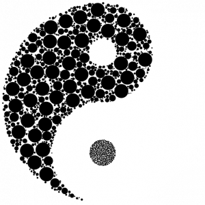yin yang l'équilibre pour perdre du poids